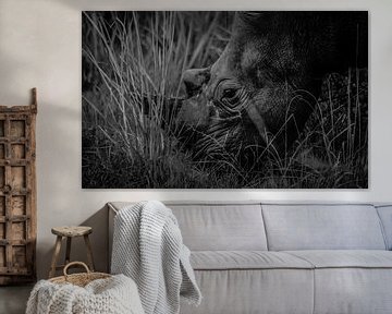 African White Rhino van linda ter Braak