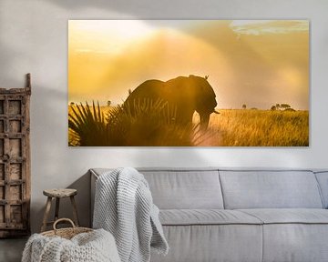 African Elephant and Sunset. van linda ter Braak