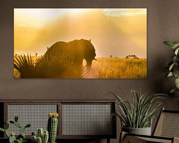 African Elephant and Sunset. by linda ter Braak