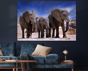 Éléphants de Namibie sur W. Woyke