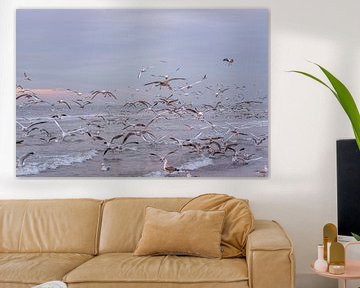 Gulls above the coast by Remco-Daniël Gielen Photography