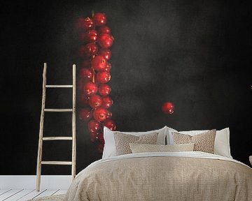 Currants on black by Miranda van Hulst