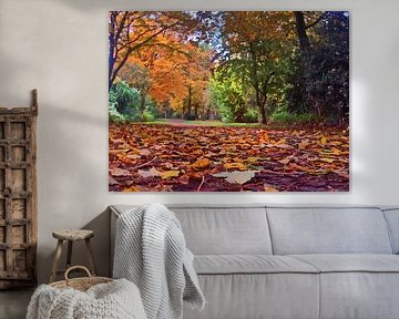 Autumn soil 1
