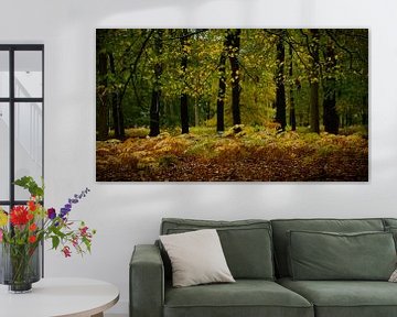 Herbstliche Farben im Märchenwald von Sara in t Veld Fotografie