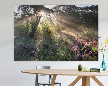 dramatische Sonneneinstrahlung in nebligem Wald mit Heideblumen im Sommer von Olha Rohulya