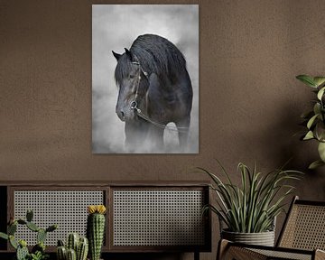 Un cheval dans le brouillard sur Diana van Tankeren