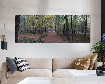 Een bospad panorama tijdens de Herfst van Gerard de Zwaan