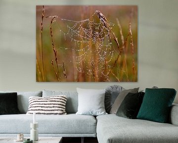 World Wide Web (Spider's Web with drops) by Caroline Lichthart