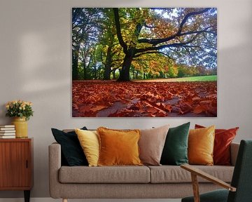 Schlossparkherbst 3