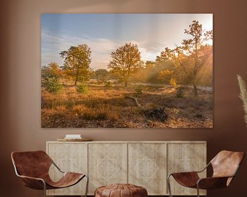 Brunssummerheide par une belle matinée d'automne sur John van de Gazelle fotografie