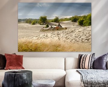 Niederländische Sahara von Mark Bolijn