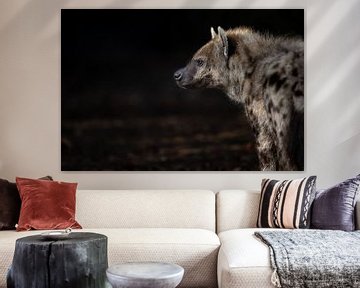 Hyenaportret enprofile van Joy van der Beek