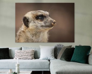 Meerkat on the lookout by Joy van der Beek