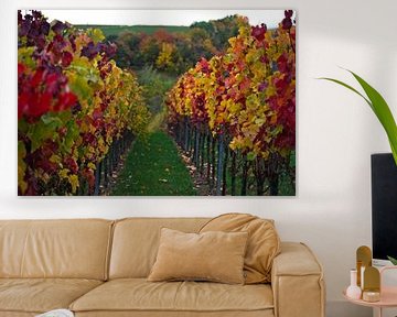 Vineyards in autumn style - II by Stefan van Dongen