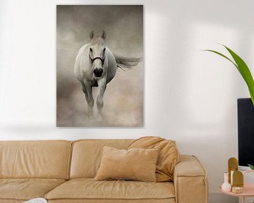 Wit Paard In Mist van Diana van Tankeren