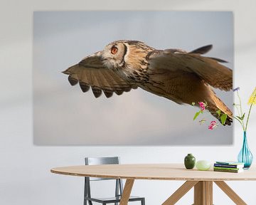 Owl in flight van Marco de Groot