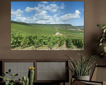 Wine landscape in the Champagne region by Peter Eckert