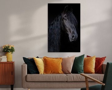 Fries Paard van By Foto Joukje