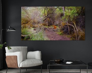 Spooky forest with fox, New Zealand by Rietje Bulthuis