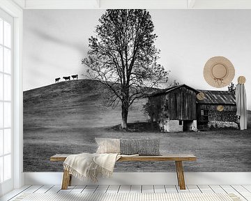 chatting on the hill by LieblingsKuhbilder.de