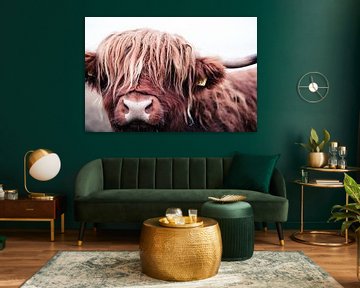 Portret van een stoere Schotse Hooglander koe rund stier van KB Design & Photography (Karen Brouwer)