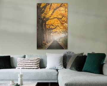 Herfst in Apeldoorn van Niels Barto
