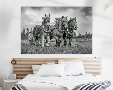 Draught horses, black and white by Lisette van Peenen