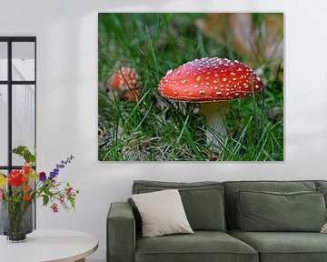 Herfst: de kleurrijke  vliegenzwam (Amanita muscaria) van Rini Kools