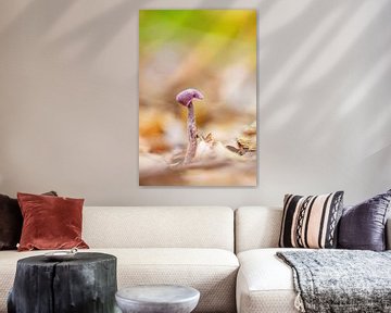 Solo Purple Mushroom sur Roosmarijn Bruijns