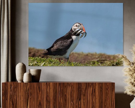 Aperçu de la chambre