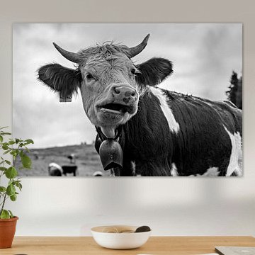 Schiefmaul von LieblingsKuhbilder.de