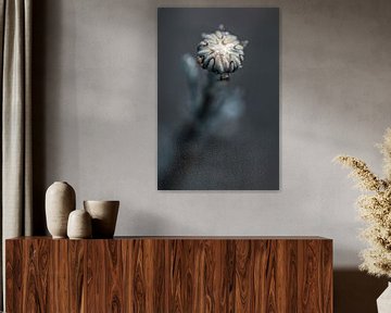 Blühende Blütenknospe in dunkler Atmosphäre von Roosmarijn Bruijns
