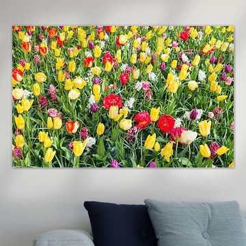 gelbe und rote Tulpen auf den Blumenzwiebelfeldern im Küchenhof