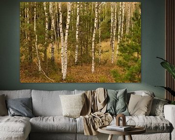 Witte bomen in het bos van Jolanda de Jong-Jansen