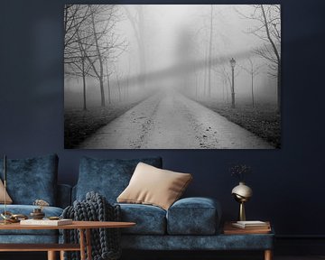 Fog