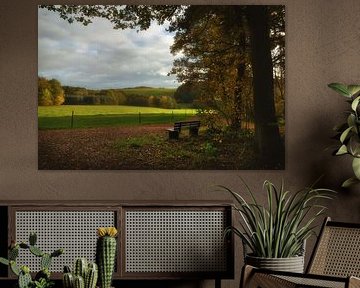 Bank with view of the Eifel