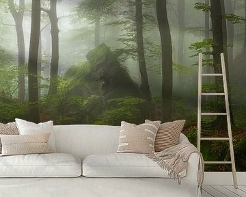 A beautiful atmospheric misty morning in the Mullerthal in Luxembourg. by Jos Pannekoek