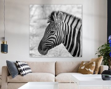 Zebra van Ger van Beek