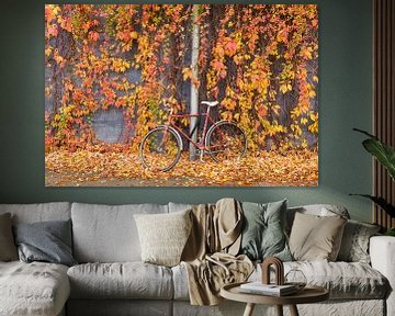 Fiets en wilde wingerd in herfstkleur van Rinus Lasschuyt Fotografie