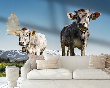 Calves in the mountains by LieblingsKuhbilder.de