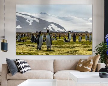 Konings pinguïn koppel in South Georgia van Ramon Lucas