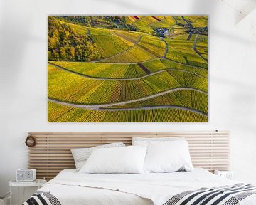 Vineyards in Stuttgart by Werner Dieterich