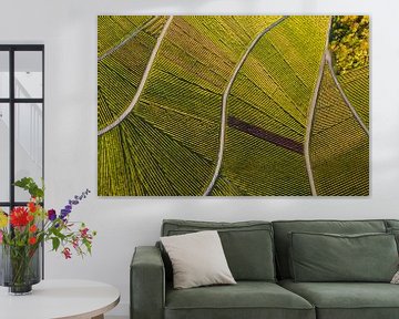 Une vue d'ensemble des vignobles de Stuttgart sur Werner Dieterich