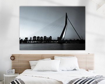 Rotterdam. De Erasmusbrug. van Gerrit de Heus