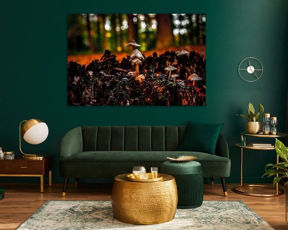 Aperçu de la chambre