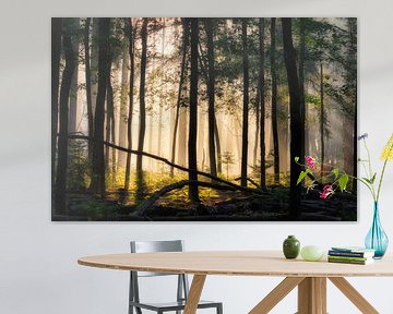 Licht in het donkere bos van Jaimy Leemburg Fotografie