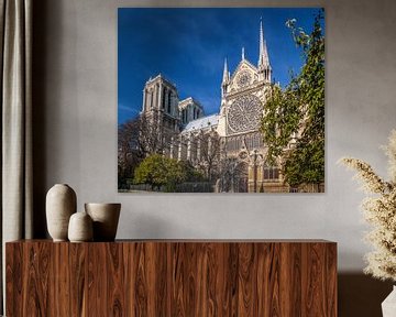 Cathedral Notre Dame in Paris by Christian Müringer