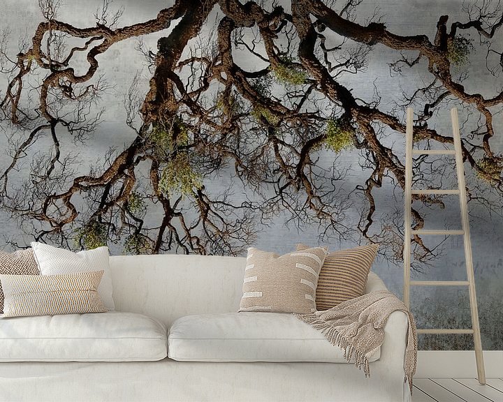 Sfeerimpressie behang: Wonderful nature van Hannie Kassenaar