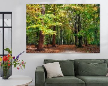 Bomen in het bos tijdens de herfst periode