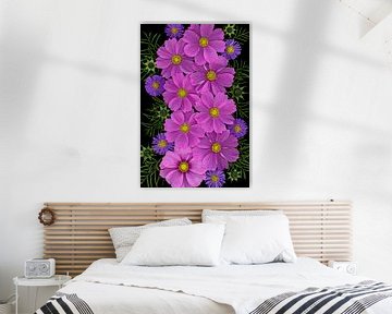 Cosmea Sensation bloemen van Elles Rijsdijk
